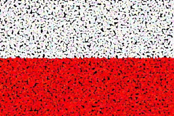 Polen Vlag Van Polen Horizontaal Ontwerp Llustratie Van Vlag Van — Stockfoto