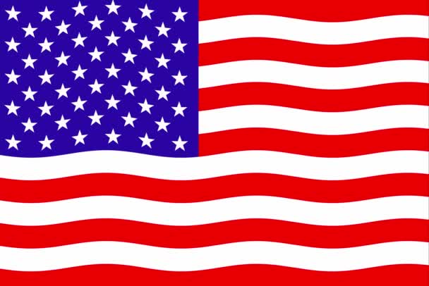 Vereinigte Staaten Von Amerika Usa Flagge Der Vereinigten Staaten Von — Stockvideo