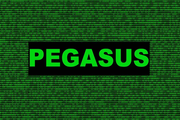Pegasus Hacker Computer System Hacks Computers Mobile Phones Anywhere Background — стокове фото