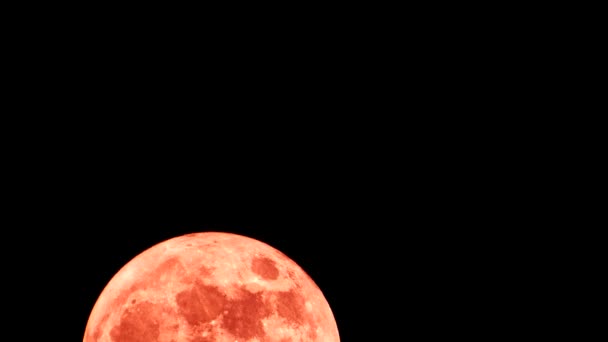 Eclipse Super Full Moon Superluna Llena Eclipse Luna Super Bright — Wideo stockowe