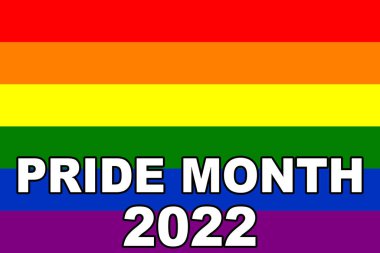 Pride 2022. LGBT flag. The LGBT pride flag or rainbow pride flag includes the flag of the lesbian, gay, bisexual, and transgender LGBT organization. Illustration. International LGBT Pride Day 2022.