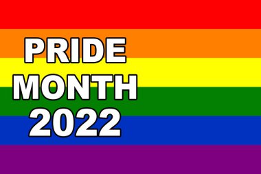 Pride 2022. LGBT flag. The LGBT pride flag or rainbow pride flag includes the flag of the lesbian, gay, bisexual, and transgender LGBT organization. Illustration. International LGBT Pride Day 2022.