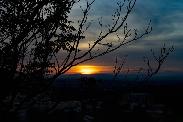 Sunset Sunset High Clouds Leaving Sky Orange Blue Backlight Leaves — Stok Foto