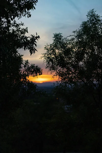 Sunset Sunset High Clouds Leaving Sky Orange Blue Backlight Leaves — стоковое фото