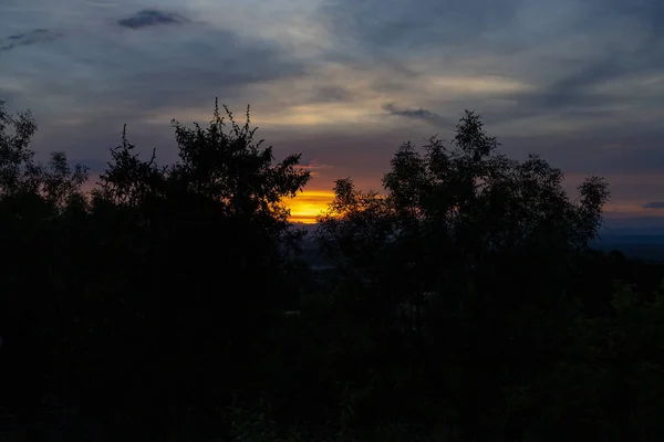 Закат Закат Высокими Облаками Оставляющими Небо Оранжевым Голубым Подсветка Листьев — стоковое фото