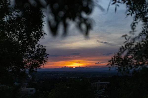Sunset Sunset High Clouds Leaving Sky Orange Blue Backlight Leaves — Stok Foto