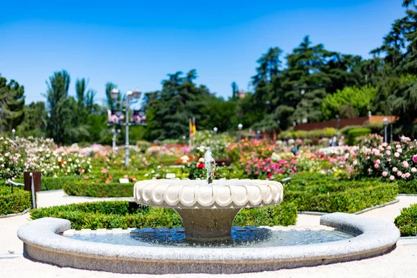 噴水だ 晴れた日にはマドリードの公園全体とスペインの青い空に色とりどりの花が咲く春の爆発で水で満たされた石の噴水 ヨーロッパだ — ストック写真