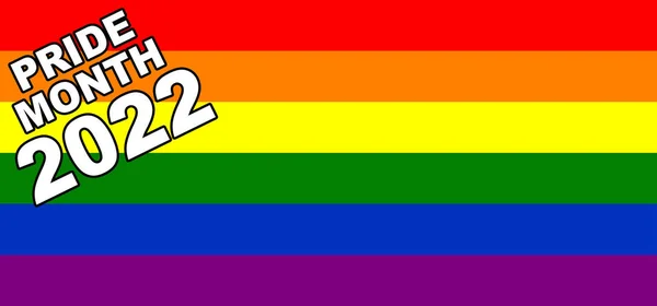 Stolzer Tag 2022 Lgbt Flagge Zur Lgbt Flagge Oder Regenbogenfahne — Stockfoto