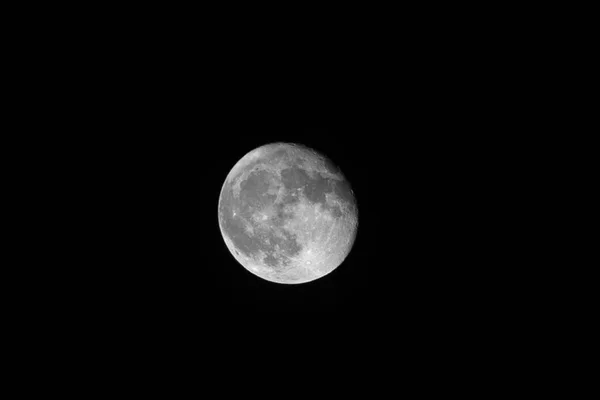 Wolf Moon Super Full Moon Dark Background Madrid Spain Europe — Stockfoto