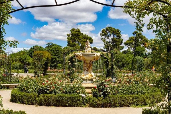 Font Park Roses Stone Fountain Next Park Full Green Vegetation — Stockfoto