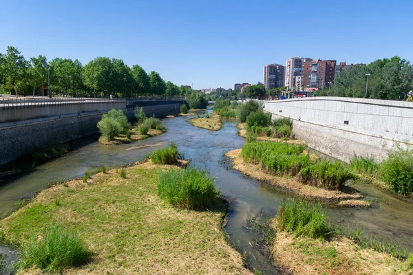 Parco Madrid Rio Vista Sul Parco Madrid Rio Vicino Fiume — Foto Stock