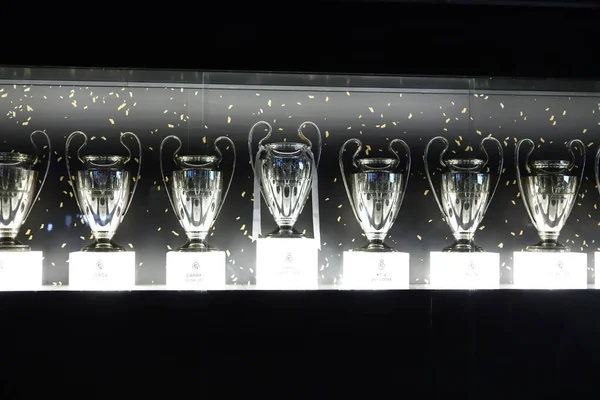 Champions Champions League Soccer Champions Cup European Soccer League Cup — Photo