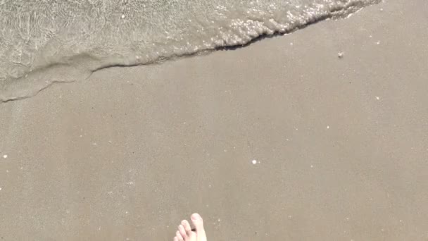 Beach Seashore Young Person Entering Shore Mediterranean Sea Waves Shore — Stock video