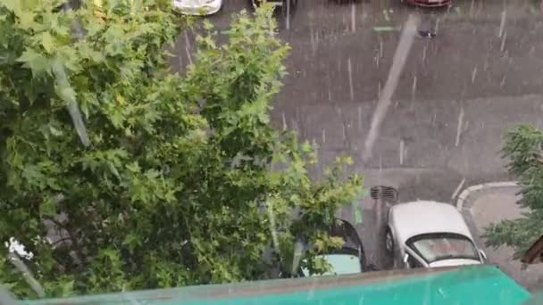 Hail Strong Storm Rain Wind Hail Thunder Summer Afternoon City — Vídeo de stock