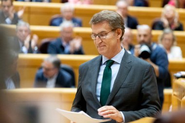 Alberto Nuez Feijoo. Madrid Senatosu 'nda İspanya Halk Partisi Başkanı. MADRİD, İSPAN - 18 EKİM 2022.