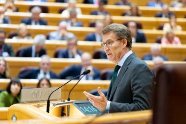 Alberto Nuez Feijoo. Madrid Senatosu 'nda İspanya Halk Partisi Başkanı. MADRİD, İSPAN - 18 EKİM 2022.