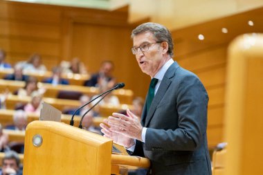 Alberto Nuez Feijoo. Madrid Senatosu 'nda İspanya Halk Partisi Başkanı. MADRİD, İSPAN - 18 EKİM 2022.