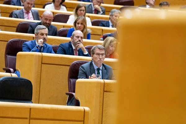 Alberto Nuez Feijoo Presidente Partido Popular Espanha Senado Madrid Madrid — Fotografia de Stock
