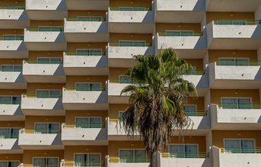 Önünde bir palmiye ağacı olan, mimarisi ile geometrik bir model oluşturan bir turist işletmesi cephesi. Toplu turizmin kavramsal görüntüsü