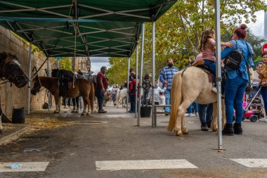 Porreres, İspanya; 31 Ekim 2021: 31 Ekim 'de Majorcan' ın Porreres kentinde düzenlenen yıllık sonbahar festivali. Kontrollü bir şehir ortamında midilliye binmeye adanmış bir şirket.