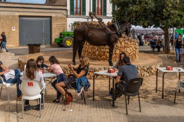 Porreres, İspanya; 31 Ekim 2021: 31 Ekim 'de Majorcan' ın Porreres kentinde düzenlenen yıllık sonbahar festivali. Kafeterya terasının yanındaki eski bir su değirmeninde müşterilerle çalışan at.