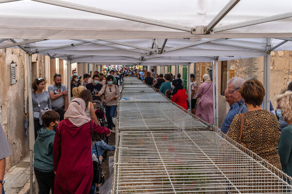 Порререс, Испания; 31 октября 2021: Ежегодная осенняя ярмарка в городе Порререс на Майорке, состоявшаяся 31 октября. Выставка животных в клетке на улице с людьми, гуляющими вокруг