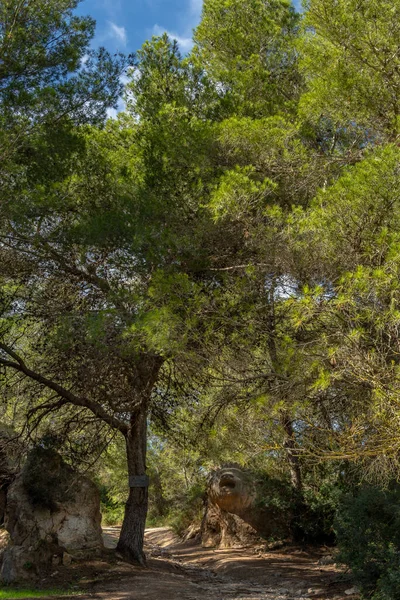 Horta Ισπανία Οκτώβριος 2021 Ανώνυμο Γλυπτό Τίτλο Lleona Κατασκευασμένο Από — Φωτογραφία Αρχείου
