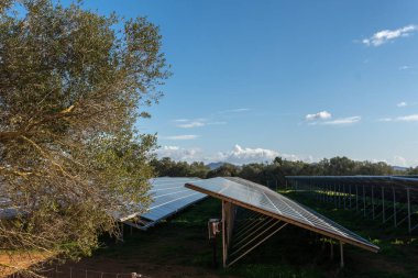 Güneşli bir günde, İspanya 'nın Mallorca adasının iç kesimlerinde fotovoltaik güneş enerjisi parkı. İklim değişikliğini önlemek için yenilenebilir enerji görüntüsü
