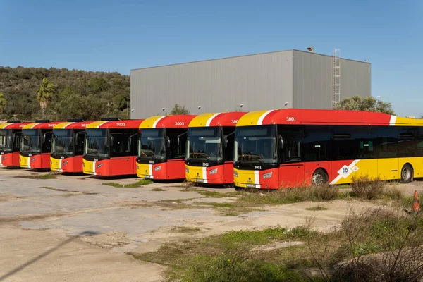 Felanitx Spanien December 2021 Flottan Parkerade Bussar Från Det Offentliga — Stockfoto