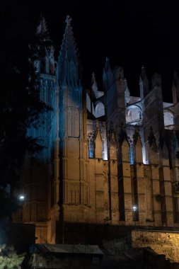 Palma de Mallorca Katedrali 'nin genel manzarası gece aydınlandı
