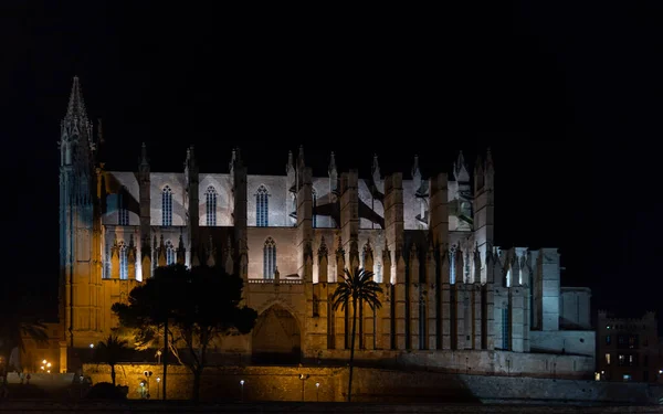 Vista General Catedral Palma Mallorca Iluminada Noche — Foto de Stock