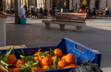 Close-up of mandarins on display at a street market on the island of Mallorca, Spain