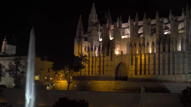Vista General Catedral Palma Mallorca Iluminada Noche — Vídeos de Stock