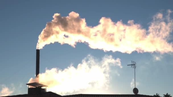 Дымоход Промышленной Керамической Фабрики Отрыгивающий Чёрный Дым Голубое Небо Загрязнение — стоковое видео
