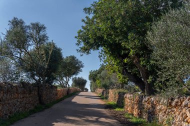 Güneşli bir kış gününde Mallorca adasındaki bir köy yolunun genel manzarası