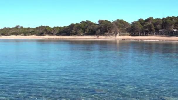 Allmän Utsikt Över Estanys Strand Mallorca Turistort Colonia Sant Jordi — Stockvideo