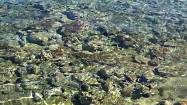 휴양지 콜로니아 조르디에 해변의 일반적 — 비디오