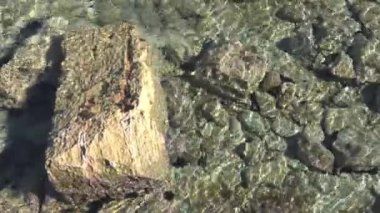 Güneşli bir günde Mallorcan 'ın Colonia de Sant Jordi tatil beldesindeki Estanys plajının genel manzarası.