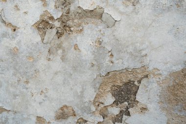 Kısrakların taş dokusuna limon havanıyla yakından bak, nem yüzünden bozuluyor.