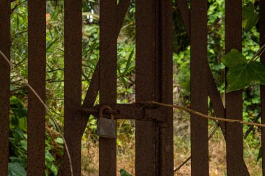 Sarmaşıklarla dolu metal bir kapıya yakın çekim yaparak terk edilmiş bir meyve bahçesine erişim sağlıyor. İspanya 'daki kırsal dünyanın terk edilmesinin kavramsal görüntüsü