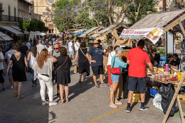 Porreres Espagne Juin 2022 Foire Annuelle Abricot Dans Ville Majorquine — Photo