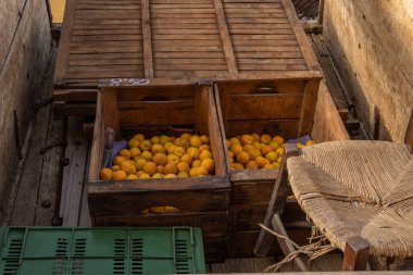 İspanya 'nın Porreres şehrinde yıllık kayısı fuarı düzenlendi. Sokak tezgahları kayısı ve çöl satıyor.