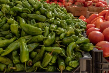 Akdeniz sebzeleri satan açık hava tezgahı. Yeşil biber ve domates. Mallorca Adası, İspanya