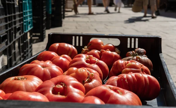 Open Air Stall Selling Mediterranean Vegetables Tomatoes Island Mallorca Spain — Fotografia de Stock
