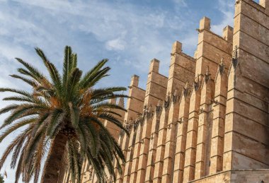 Exterior view of the cathedral of Palma de Mallorca at sunset. Spain