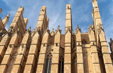 Exterior view of the cathedral of Palma de Mallorca at sunset. Spain