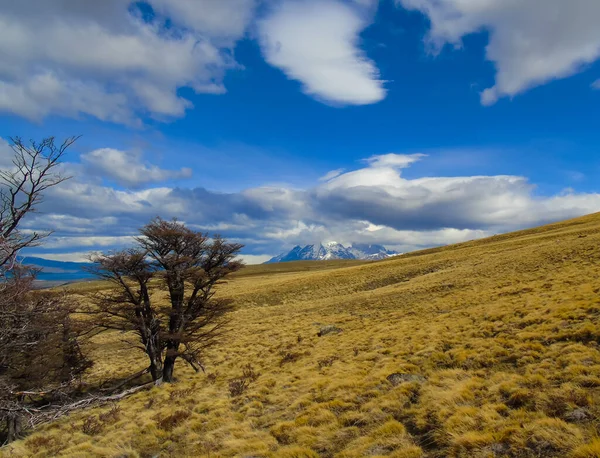 Arkasında bozkır ve dağlar olan tipik Şili Patagonya manzarası