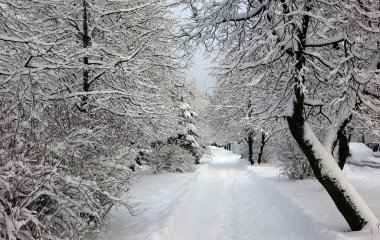 Aralık ayında çok kar vardı, bütün ağaçlar karla kaplıydı.
