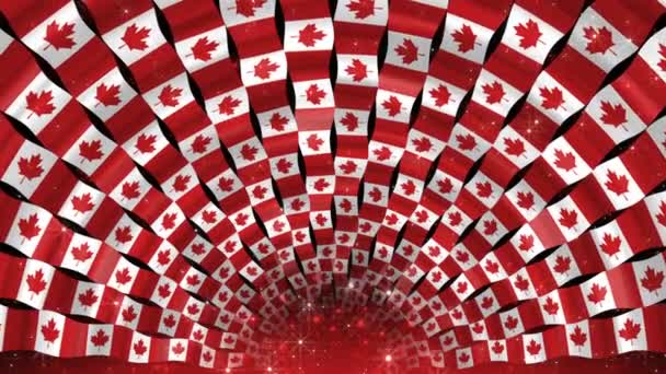 캐나다 출신. 흔들고 있는 나라 깃발 리본. 깃발 과별로 이루어진 터널 이 있는 회색 아치. — 비디오