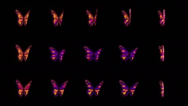 Vlinders. Fractals. 4K. Meerdere effecten van vlinders met irisering. Geanimeerde abstracte achtergrond. — Stockvideo